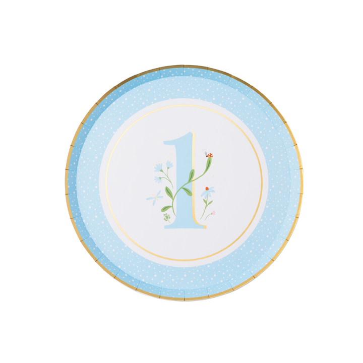 1ST BIRTHDAY SKY BLUE SMALL PLATES Bonjour Fete Plates 1ST BIRTHDAY SKY BLUE SMALL PLATES Bonjour Fete - Party Supplies