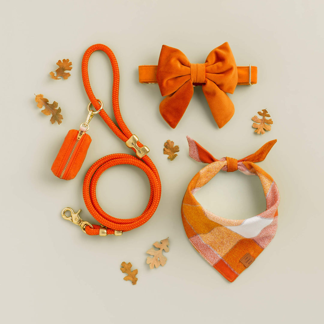 Pumpkin Velvet Lady Bow Collar