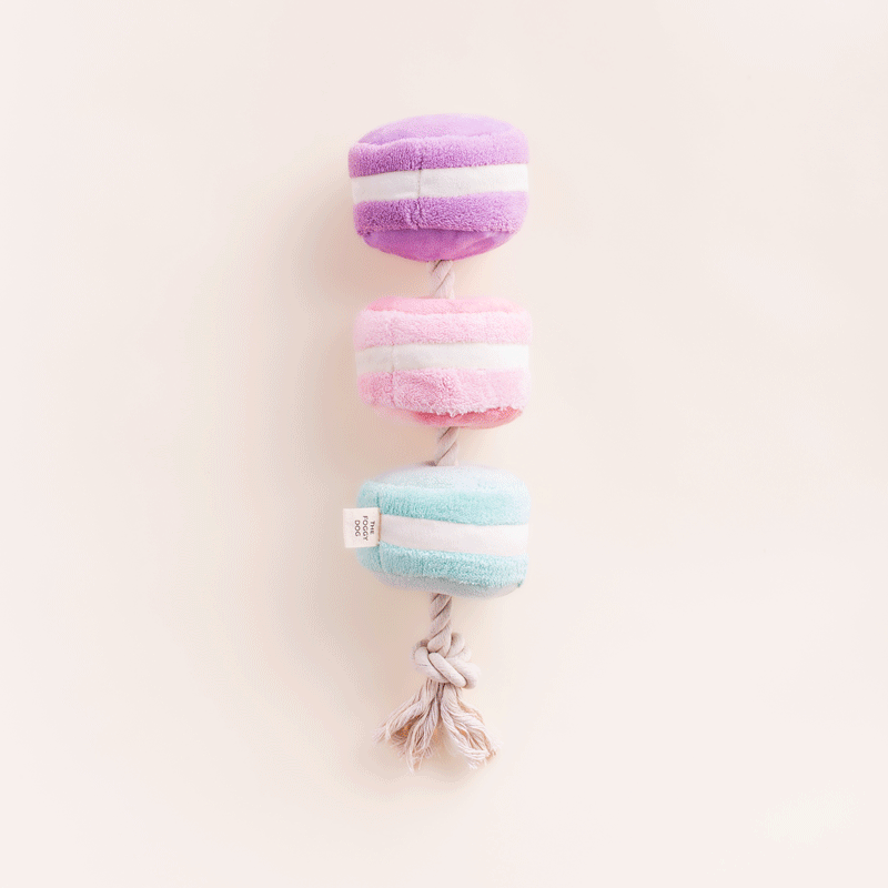 Macarons Interactive Snuffle Dog Toy - Bonjour Fête 