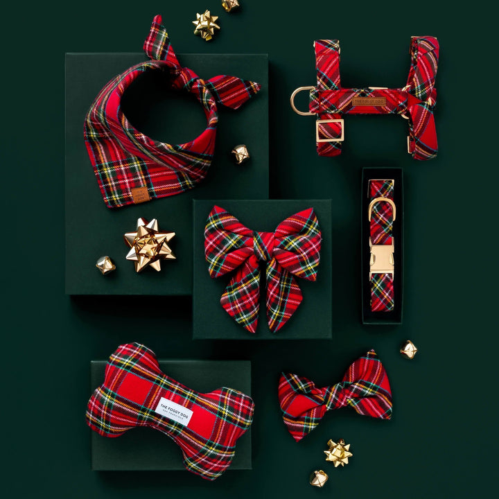 Dark green flat lay of tartan pieces: bandana, harness, lady bow, bow tie, and bone toy