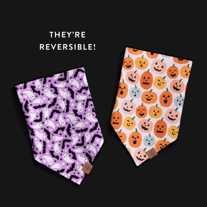 Spooky Season Reversible Dog Bandana