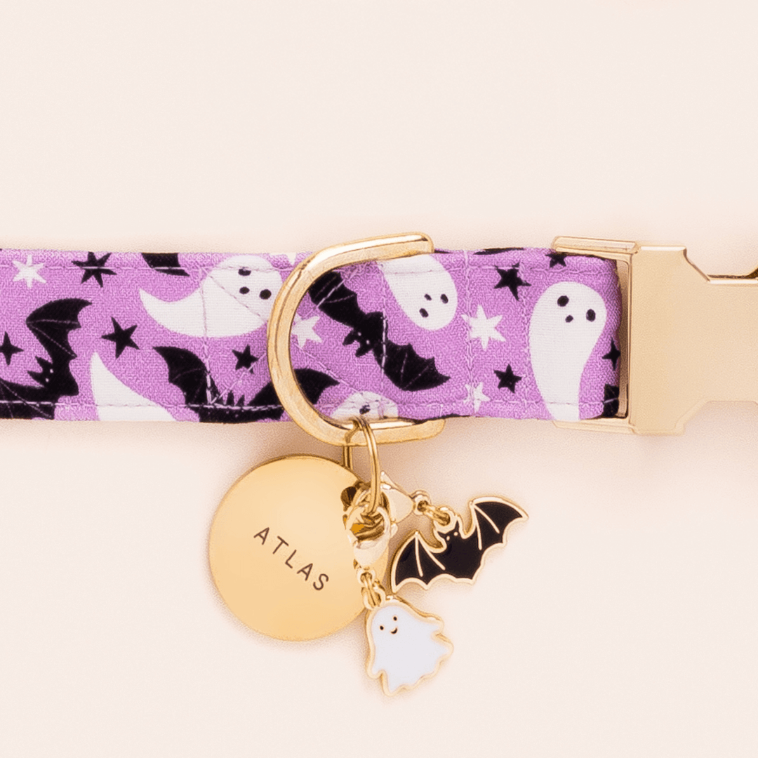 Spooky Season Collar Charm Set