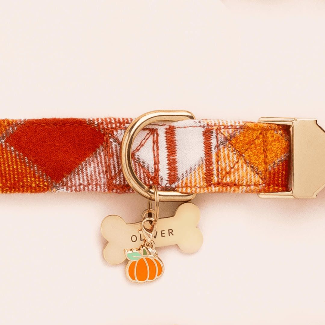 Pumpkin Collar Charm