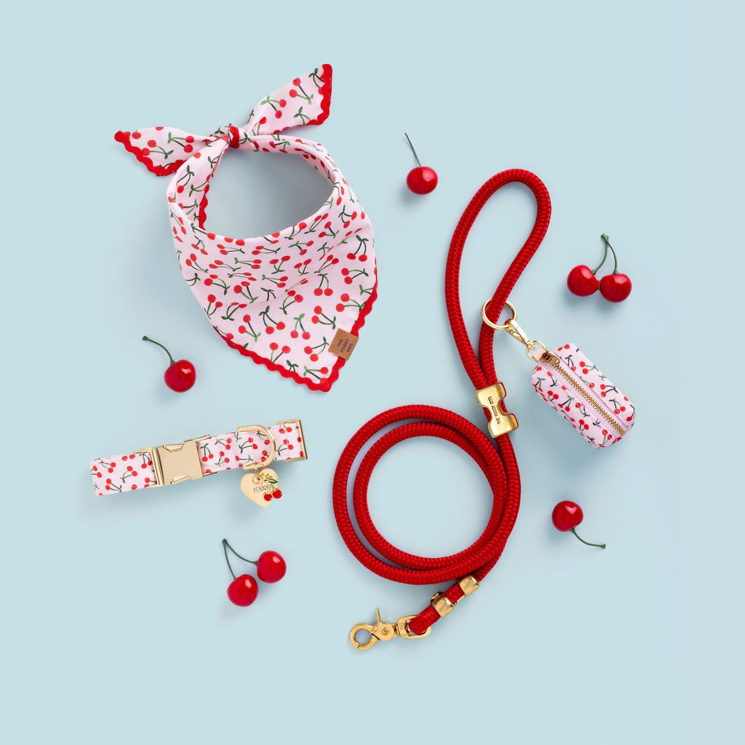 Cherry Jubilee Dog Collar - Bonjour Fête 