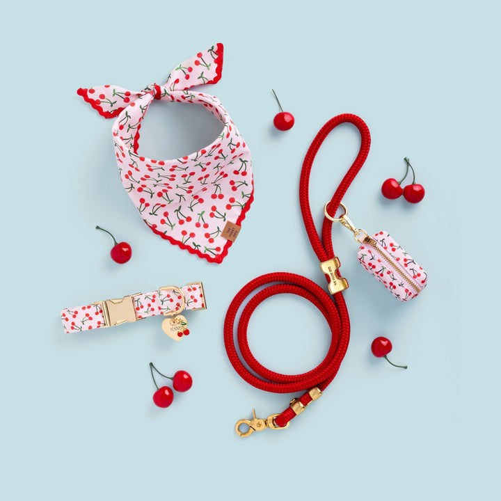 Cherry Jubilee Dog Collar - Bonjour Fête 