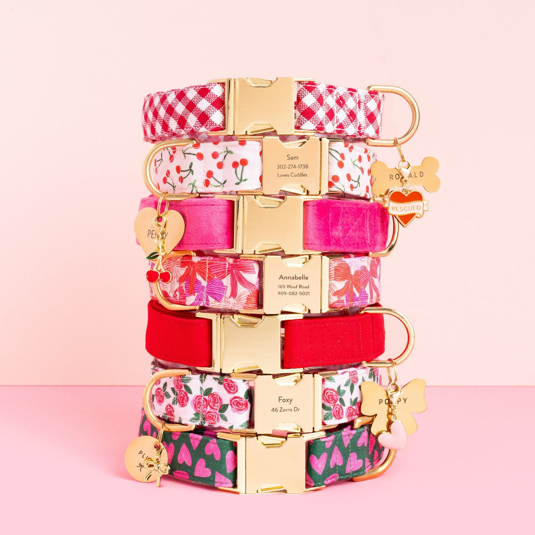 Cherry Jubilee Dog Collar - Bonjour Fête 
