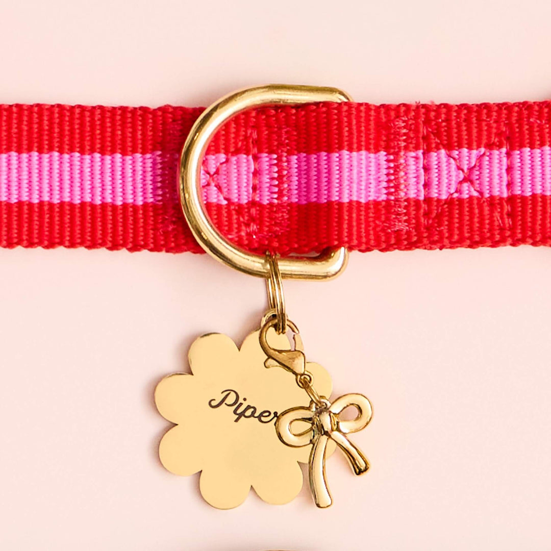 Red and pink striped webbing collar with a gold flower ID tag and the bow charm