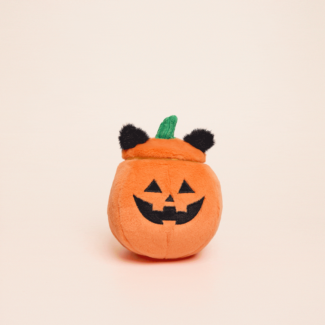 Cat-o’-Lantern 2-in-1 Bounce Dog Toy