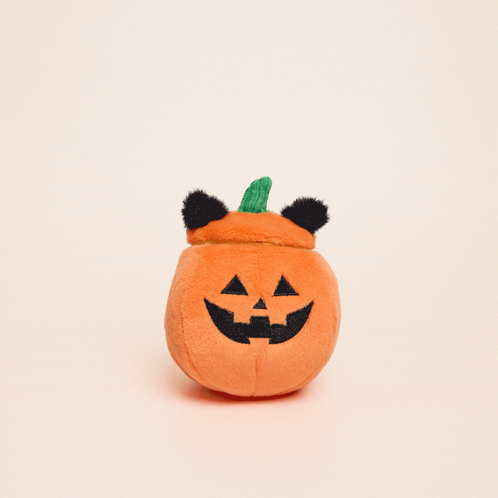 Cat-o’-Lantern 2-in-1 Bounce Dog Toy