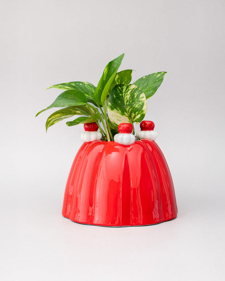 Jelly Dessert Vase ban.do vase Jelly Dessert Vase Bonjour Fete - Party Supplies