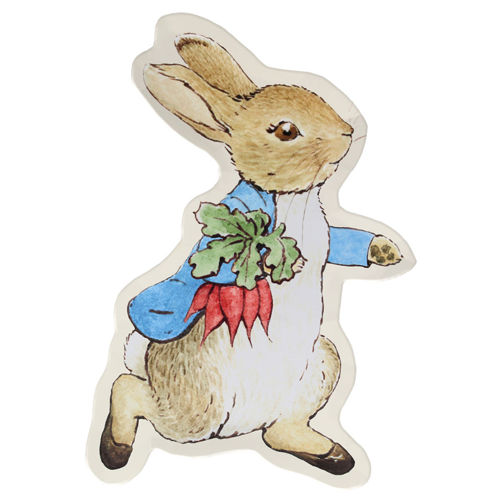 MERI MERI X PETER RABBIT REUSABLE PLATE Meri Meri Easter Party Supplies MERI MERI X PETER RABBIT REUSABLE PLATE Bonjour Fete - Party Supplies