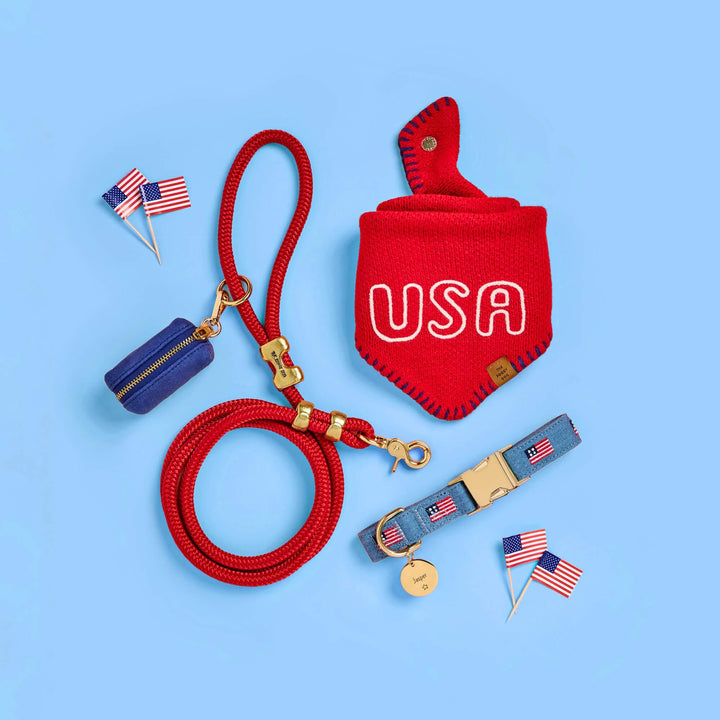 Patriotic dog collars styled in a 4th of July lookbook