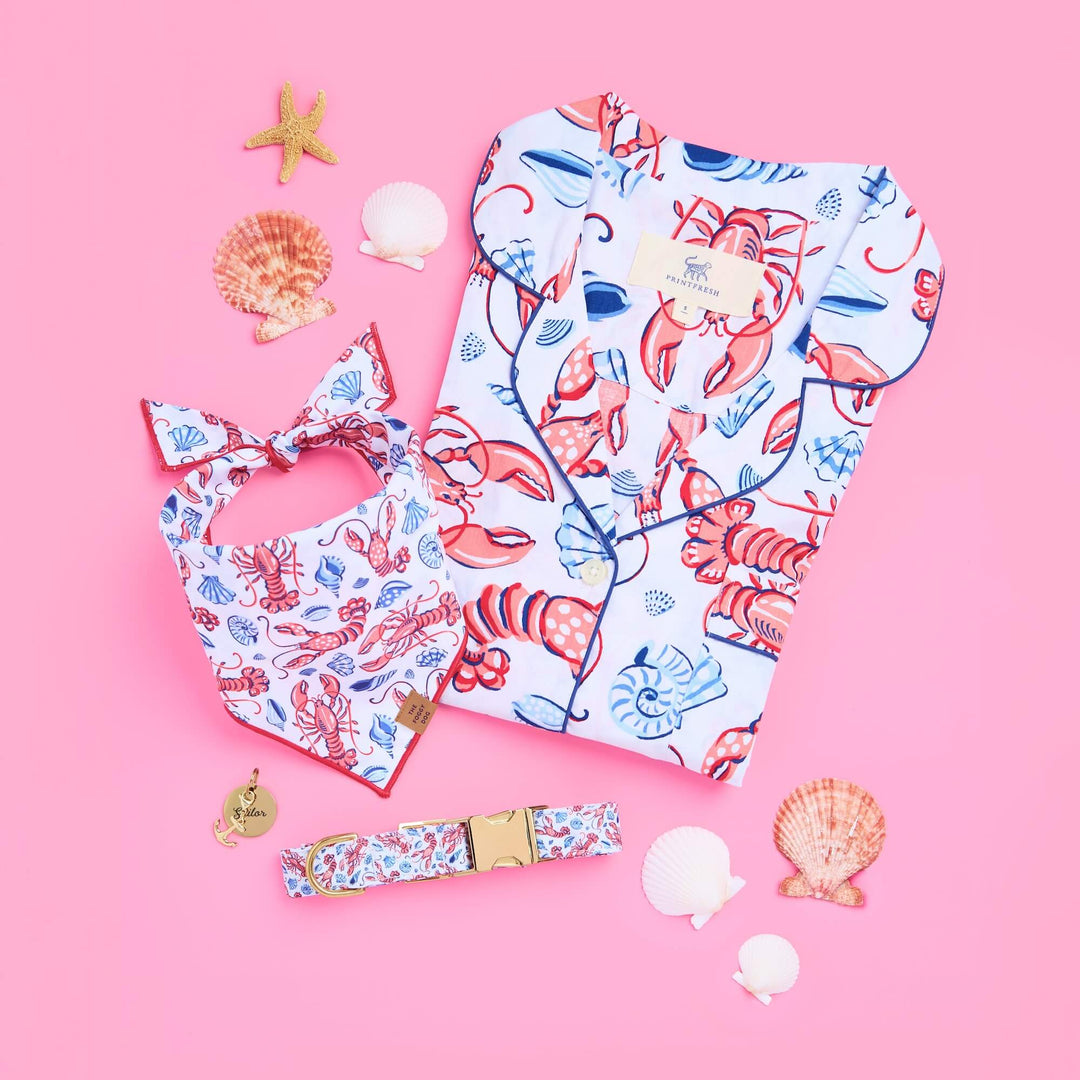Lobster print dog collar styled in a summer lookbook