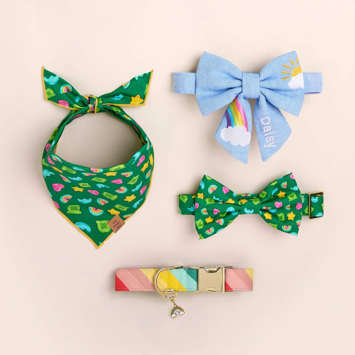 Over the Rainbow Dog Collar