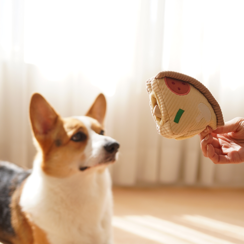 DEEP DISH PIZZA//ENRICHMENT DOG TOY Lambwolf Collective DEEP DISH PIZZA//ENRICHMENT DOG TOY Bonjour Fete - Party Supplies