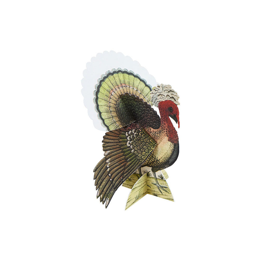 Meri Meri X John Derian Turkey Place Cards on white background with vintage botanical turkey illustration for Thanksgiving