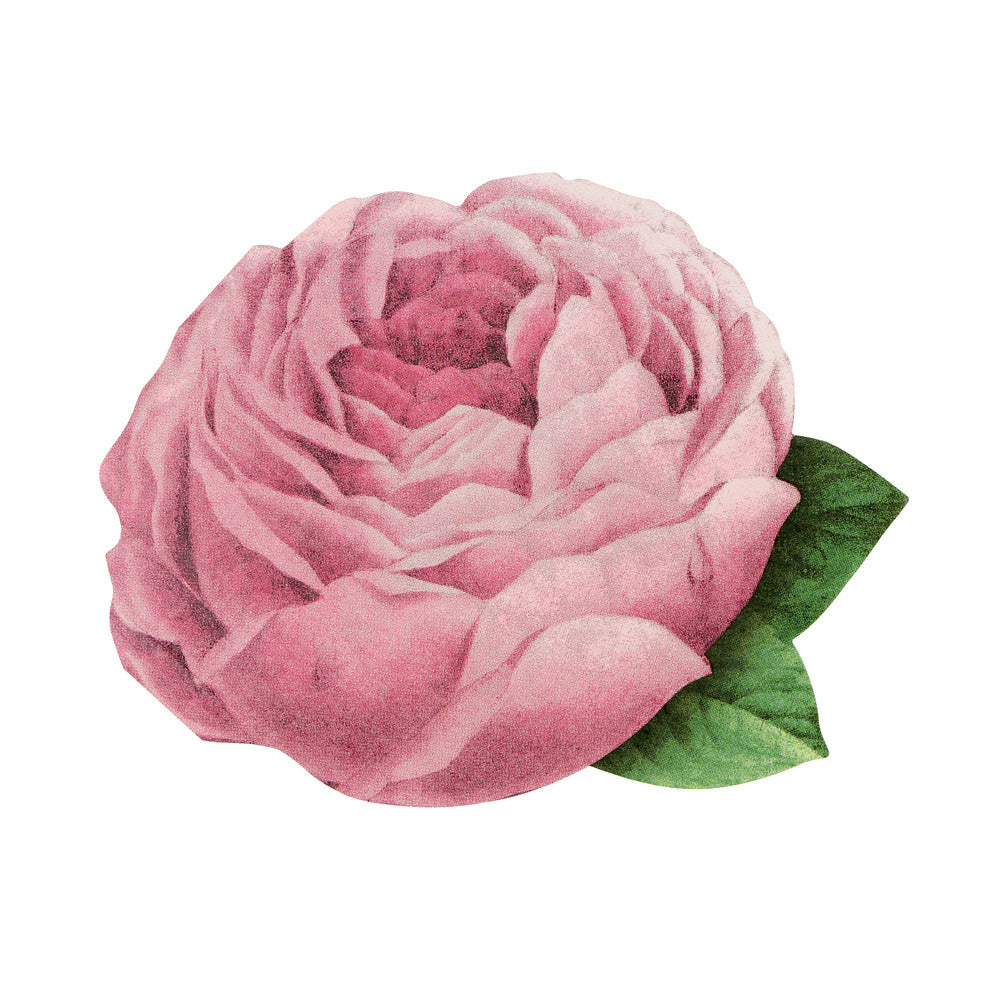 Meri Meri x John Derian Pink Rose Napkins
