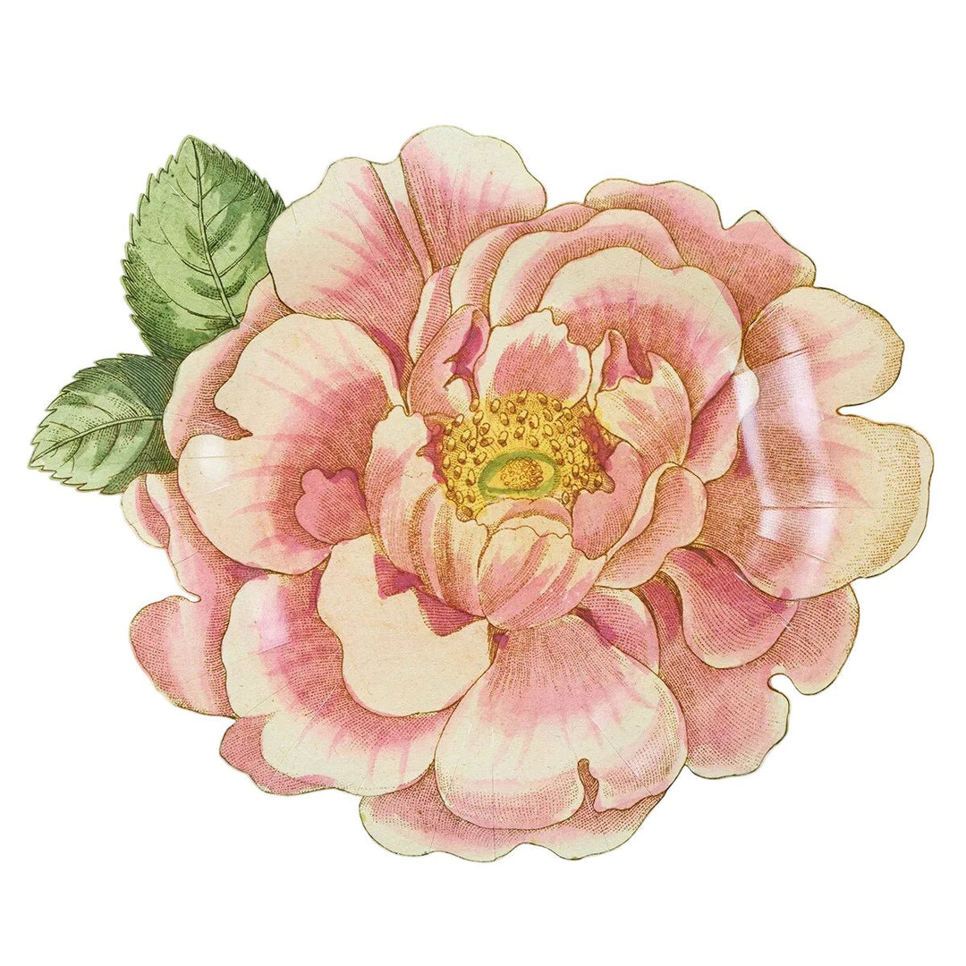 Meri Meri x John Derian Rosa Plates
