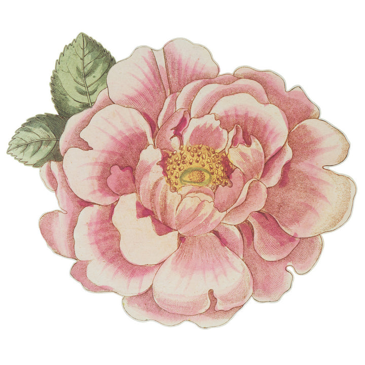 Meri Meri x John Derian Rosa Plates