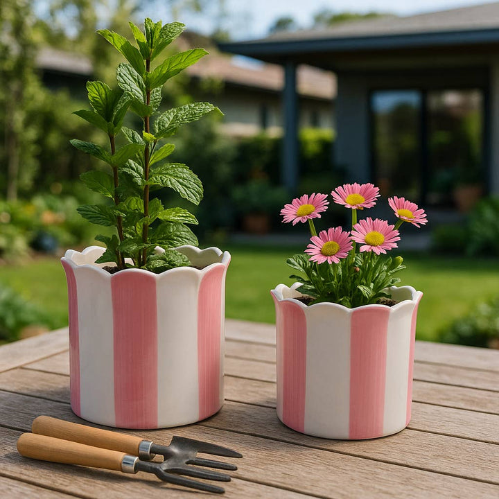 Planters Set of 2 - Pink Ceramic Striped Scallop, 6/8 in. Sagebrook Home Planters Set of 2 - Pink Ceramic Striped Scallop, 6/8 in. Bonjour Fete - Party Supplies