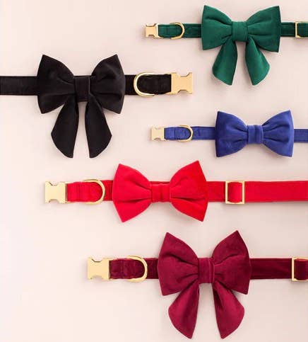 Cranberry Velvet Dog Collar: XS / Gold The Foggy Dog Cranberry Velvet Dog Collar: XS / Gold Bonjour Fete - Party Supplies