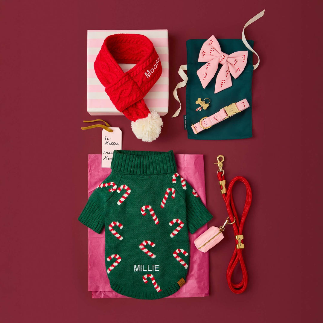 Burgundy flat lay of a green candy cane sweater, red knit scarf, red leash, and boxed pink bow