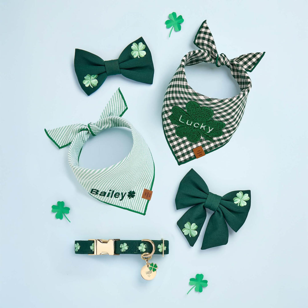 Lucky clover dog collar charms shown as a group