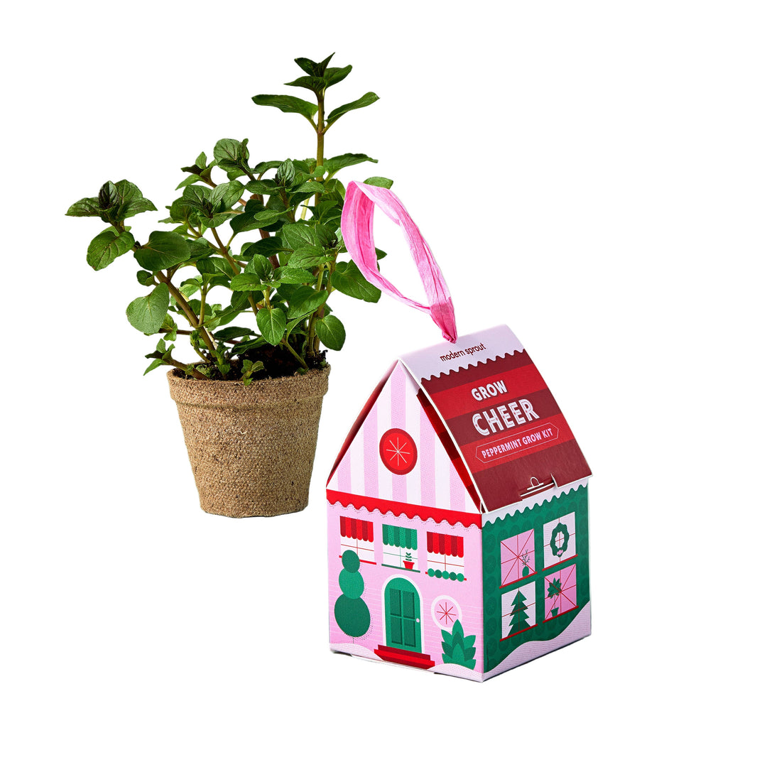 PEPPERMINT GROW KIT ORNAMENT Modern Sprout Christmas Ornament PEPPERMINT GROW KIT ORNAMENT Bonjour Fete - Party Supplies