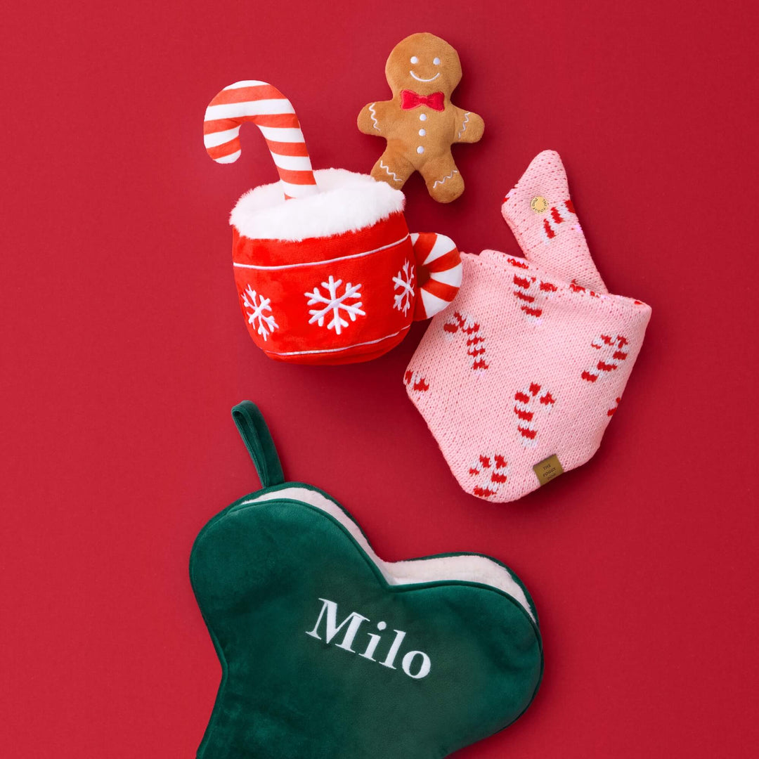 Flat lay on red with the pink knit bandana, hot cocoa and gingerbread dog toys, and a green stocking