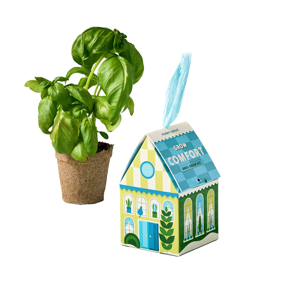 BASIL GROW KIT ORNAMENT Modern Sprout Christmas Ornament BASIL GROW KIT ORNAMENT Bonjour Fete - Party Supplies