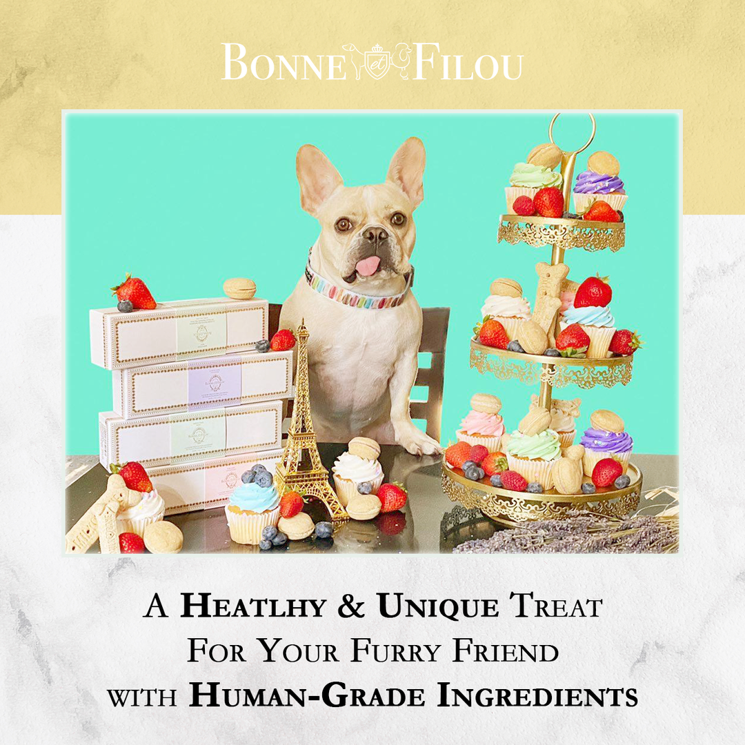 Crème Brulée Macaron Dog Treats Bonjour Fete Party Supplies Pet