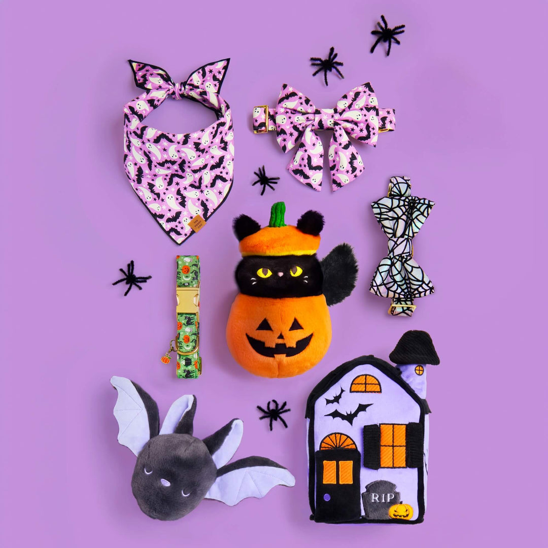 Bat 2-in-1 Bounce Dog Toy