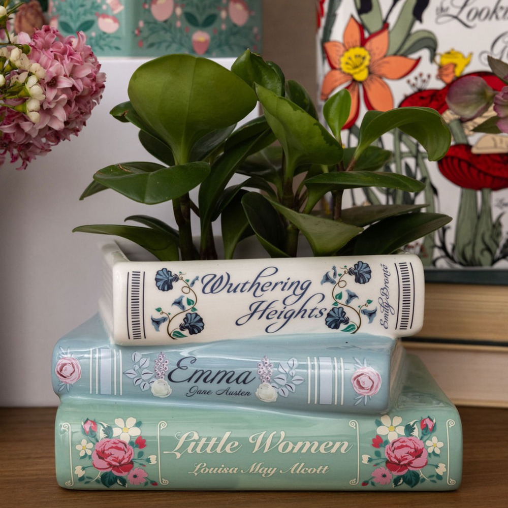 Stacked Books Planter, Pastel Classics Steel Mill Gifts vase Stacked Books Planter, Pastel Classics Bonjour Fete - Party Supplies