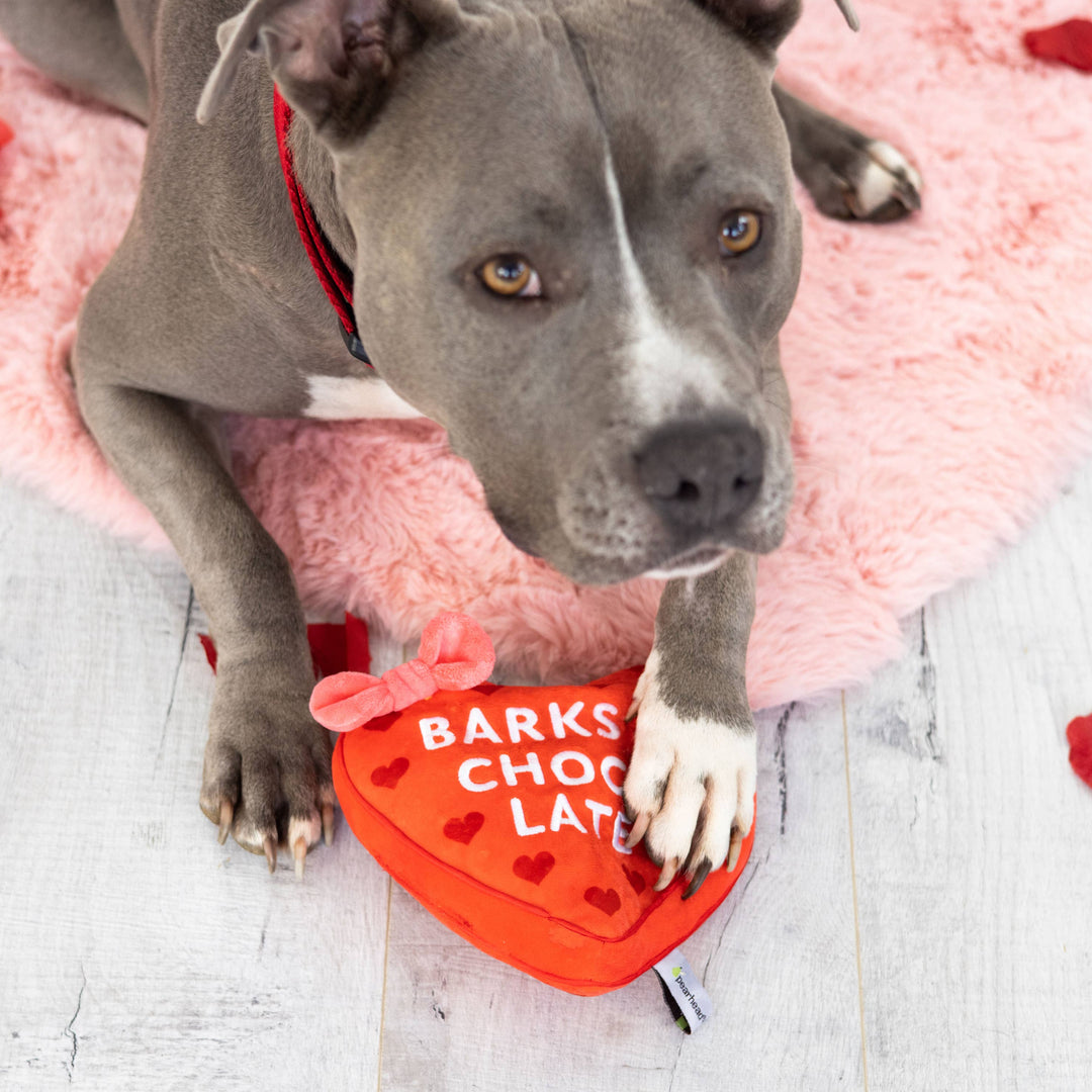 Barks of Chocolate Plush Dog Toy Pearhead Barks of Chocolate Plush Dog Toy Bonjour Fete - Party Supplies