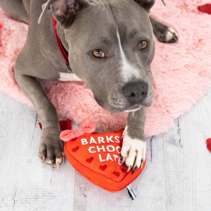 Barks of Chocolate Plush Dog Toy Pearhead Barks of Chocolate Plush Dog Toy Bonjour Fete - Party Supplies