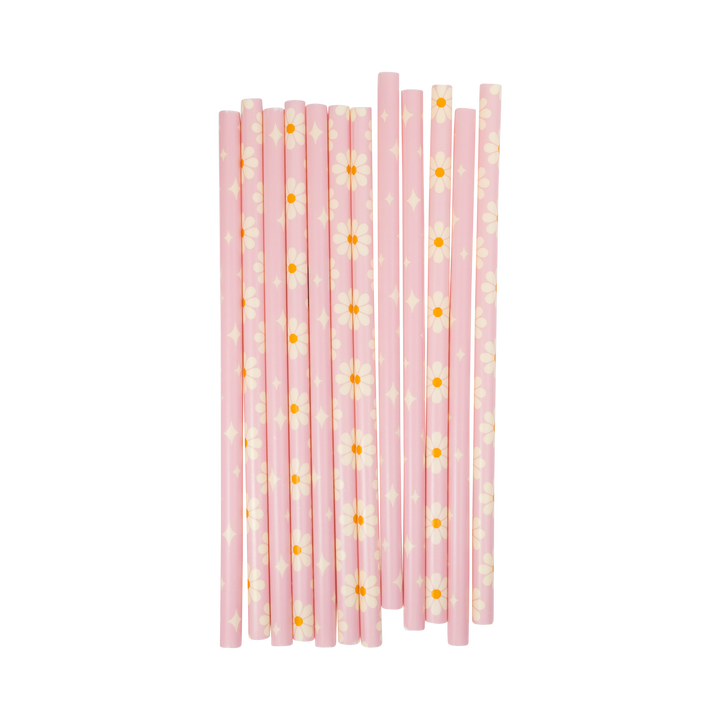 DISCO DAISY REUSABLE STRAWS My Mind’s Eye Party Straws DISCO DAISY REUSABLE STRAWS Bonjour Fete - Party Supplies