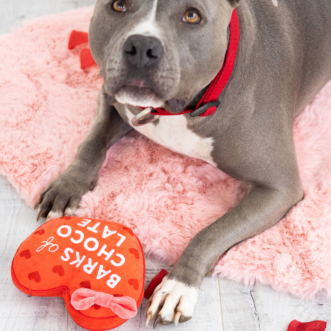 Barks of Chocolate Plush Dog Toy Pearhead Barks of Chocolate Plush Dog Toy Bonjour Fete - Party Supplies