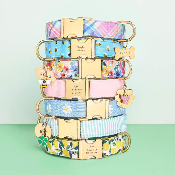 Lemon Zest Dog Collar - Bonjour Fête 