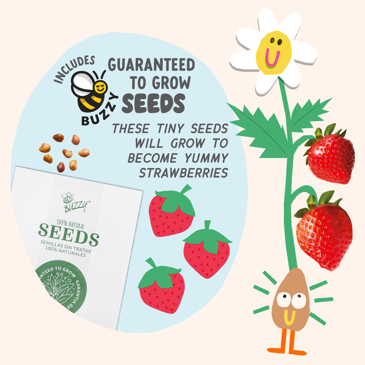 Paint & Grow- Strawberry Bright Stripes Paint & Grow- Strawberry Bonjour Fete - Party Supplies