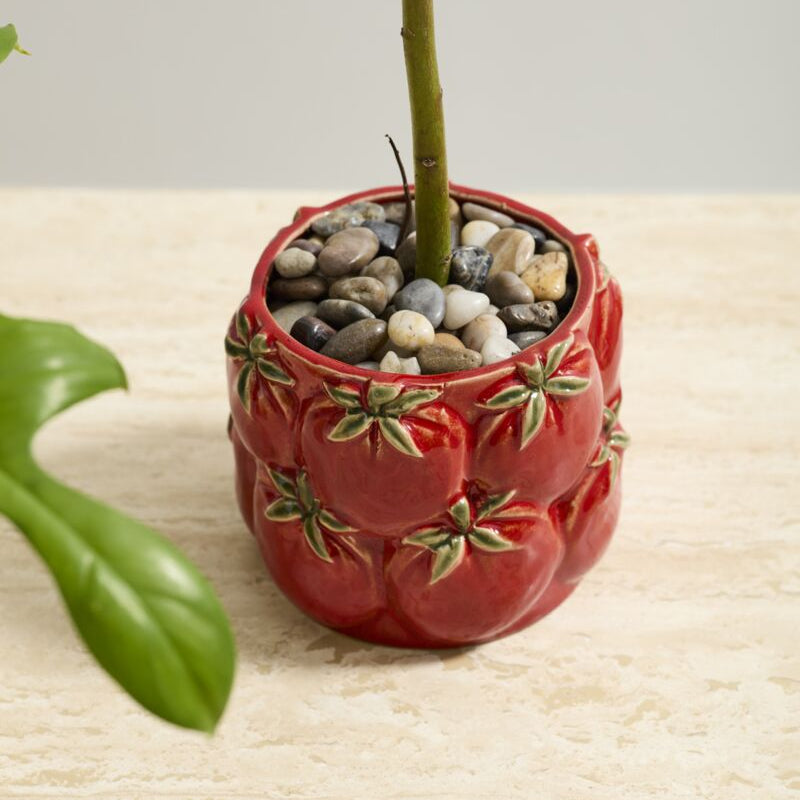 TOMATO POT Accent Decor kitchen & entertaining TOMATO POT Bonjour Fete - Party Supplies