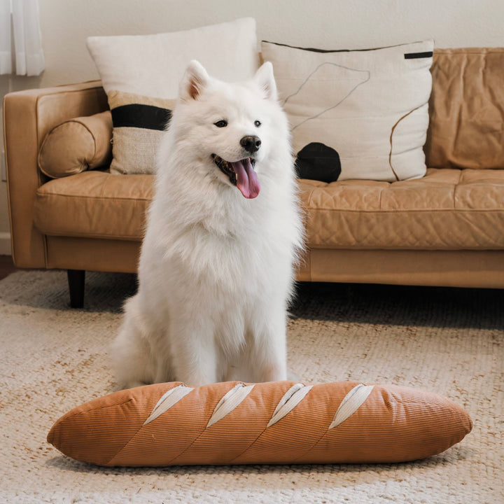 GIANT BAGUETTE DOG TOY Lambwolf Collective Pet GIANT BAGUETTE DOG TOY Bonjour Fete - Party Supplies