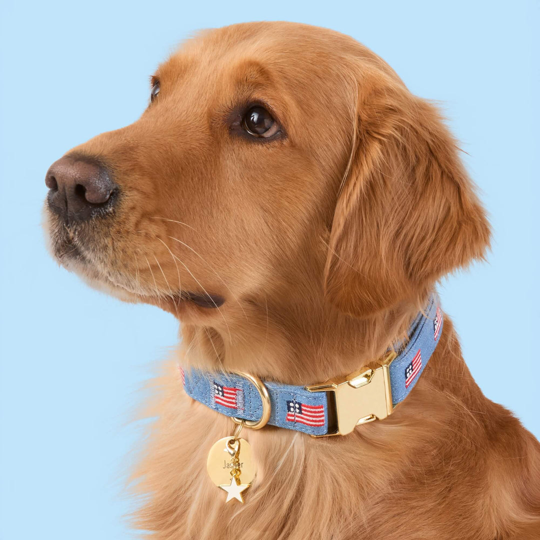 American flag dog collar paired with a star collar charm