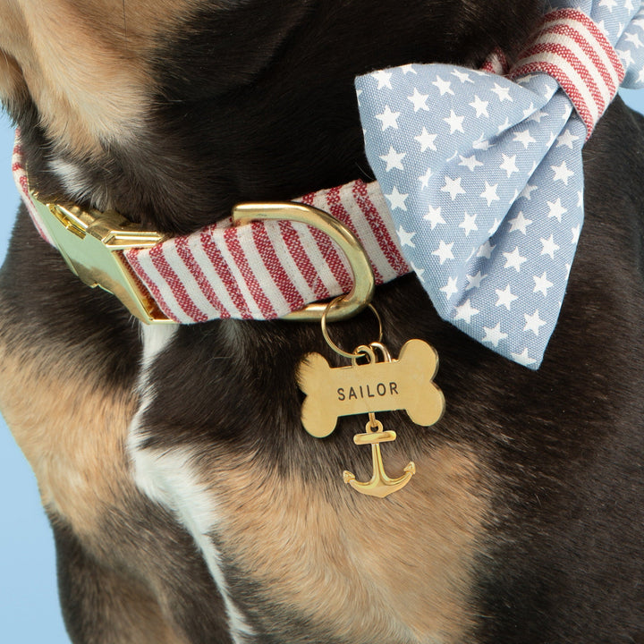 Close-up of the anchor dog collar charm