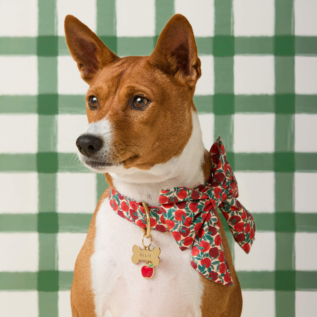 Apple of My Eye Lady Dog Bow