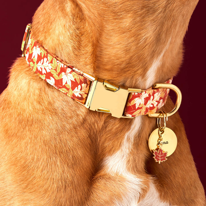Woodland Collar Charm Set