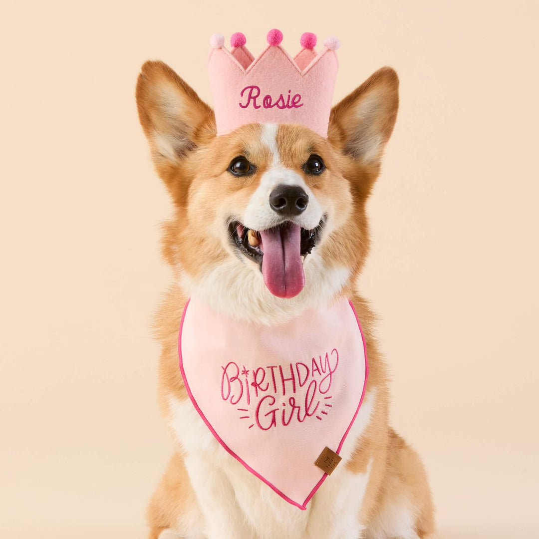Corgi in a blush crown embroidered Rosie and the pink Birthday Girl bandana on a peach backdrop