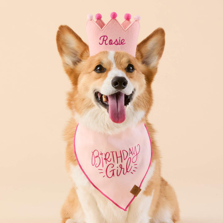 Corgi in a blush crown embroidered Rosie and a pink Birthday Girl bandana on a peach backdrop