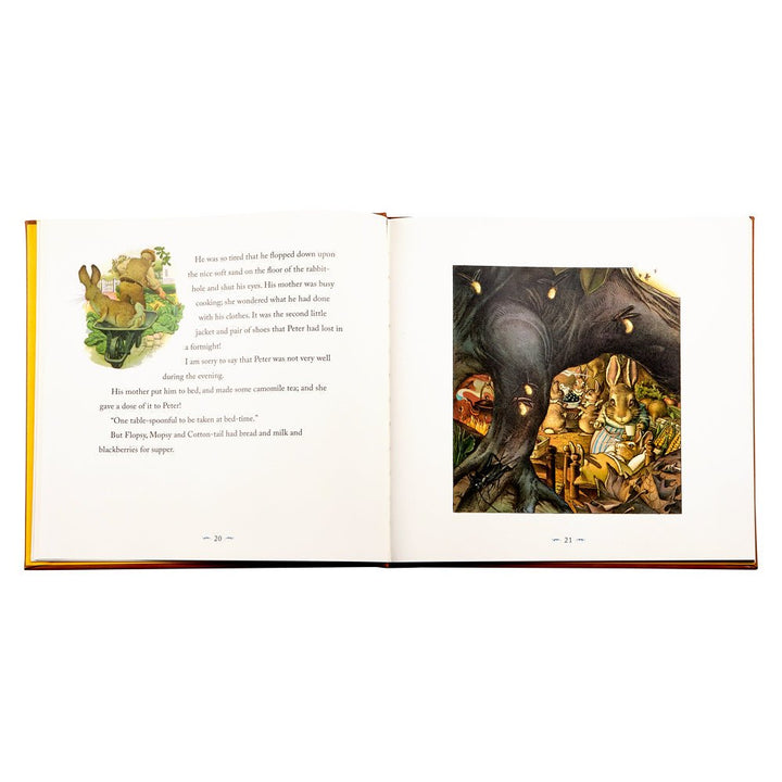 The Classic Tale of Peter Rabbit Graphic Image Books The Classic Tale of Peter Rabbit Bonjour Fete - Party Supplies