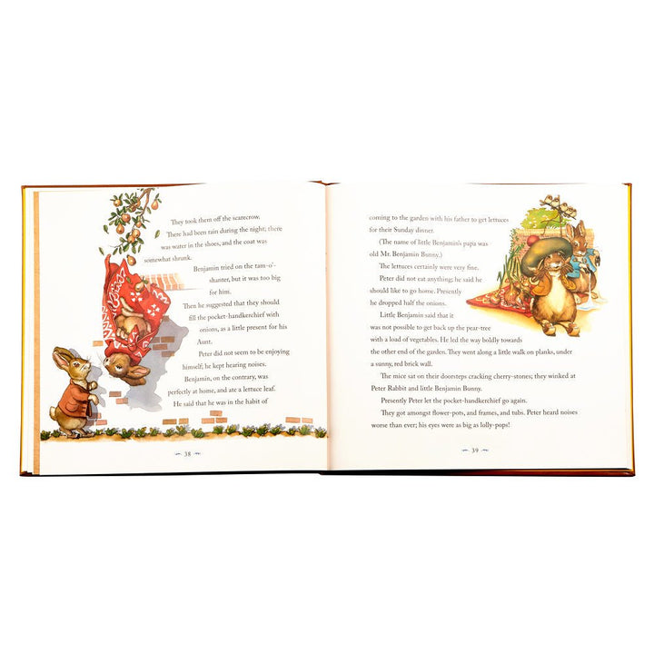 The Classic Tale of Peter Rabbit Graphic Image Books The Classic Tale of Peter Rabbit Bonjour Fete - Party Supplies