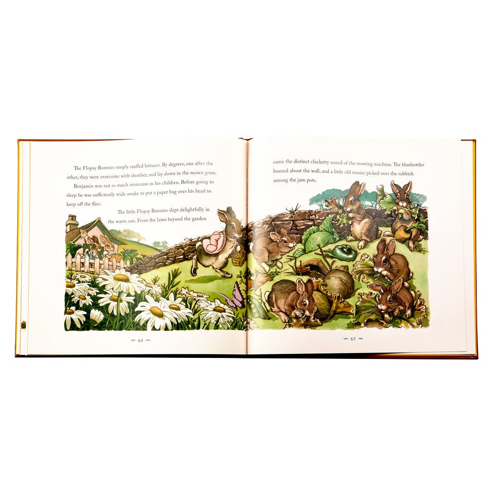 The Classic Tale of Peter Rabbit Graphic Image Books The Classic Tale of Peter Rabbit Bonjour Fete - Party Supplies